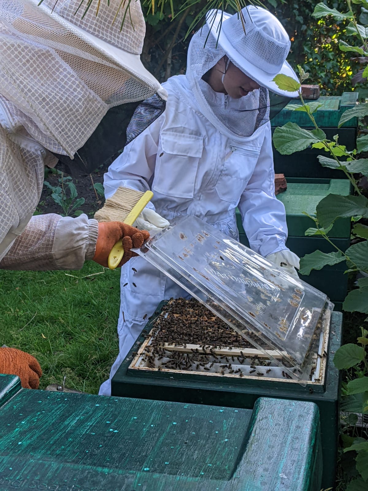 Imker bei der Arbeit